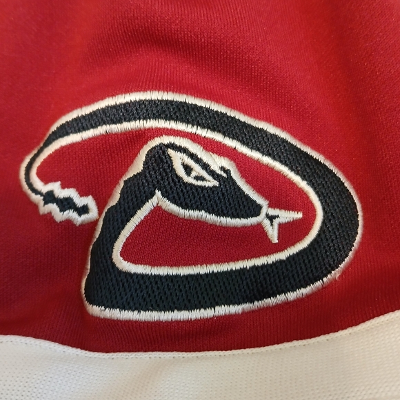 Nike Team Arizona Diamondbacks Snake Edition MLB Baseball Jersey Men's Size XL - Picture 5 of 7